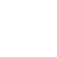 Home Icon